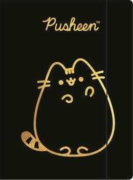 Teczka z gumką A4 300 g/m2 PUSHEEN GOLD