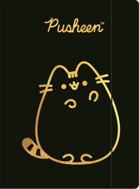 Teczka z gumką A4 300 g/m2 PUSHEEN GOLD Teczka z gumką A4 300 g/m2 PUSHEEN GOLD