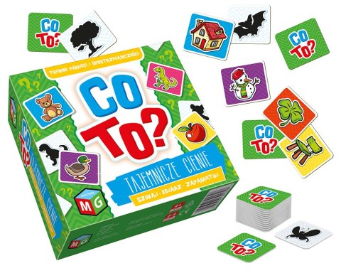 CO TO? TAJEMNICZE CIENIE CO TO? TAJEMNICZE CIENIE