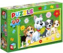 PIESKI KWIATKI PUZZLE 60