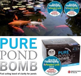 EVOLUTION AQUA PURE POND BOMB - BAKTERIE DO OCZKA